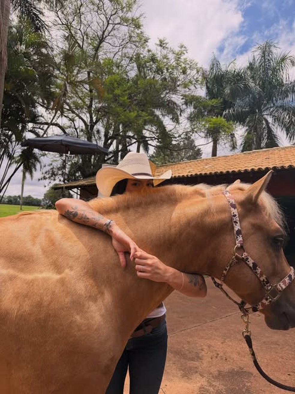 Ana Castela se derrete por cavalo do rancho da família em Londrina — Foto: Reprodução/Instagram