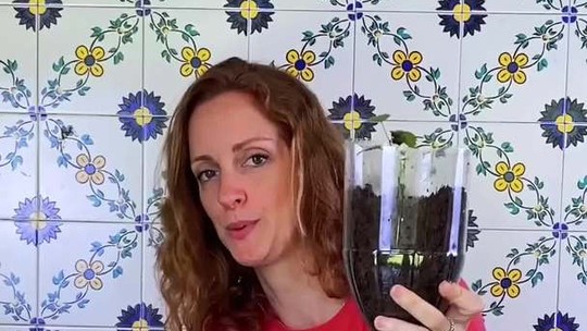 Laila Zaid ensina a fazer vaso auto irrigável com garrafa pet; aprenda