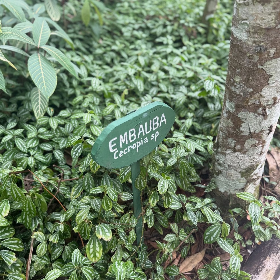 Eliana mostra registros das férias — Foto: Reprodução/Instagram