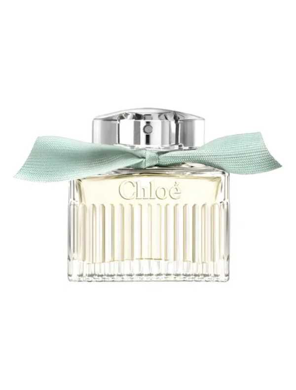 Perfume feminino importado amadeirado: 6 opções intensas e aconchegantes