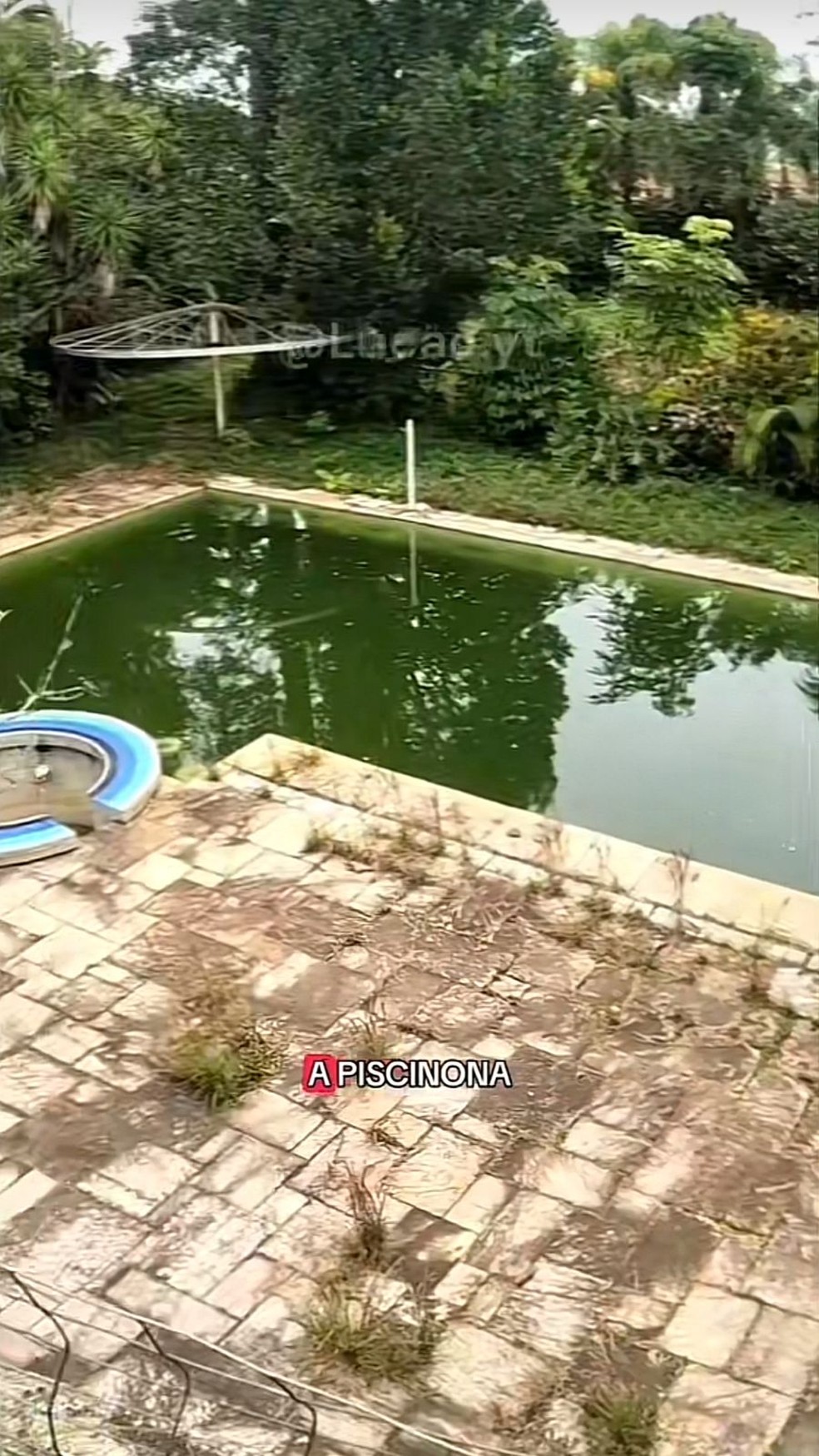 Mansão do Pelé no Guarujá (SP) — Foto: Reprodução/ TikTok