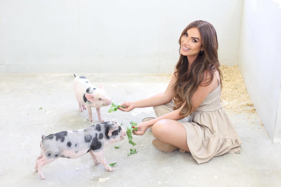 Nicole Bahls com os porcos 'Hugo Gloss' e 'Rainha Matos' — Foto: Reprodução/Instagram