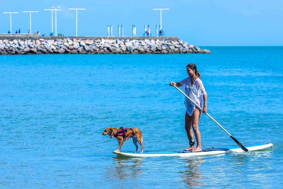 Nova BeiraMar de Fortaleza traz roteiro completo de cultura