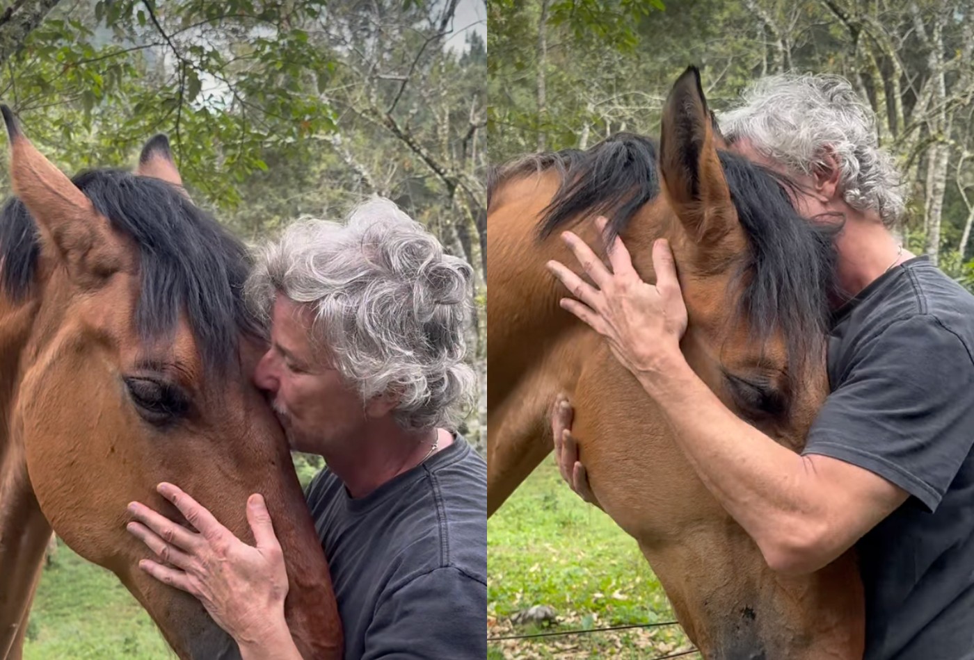 Morando em sítio na natureza, Marcello Novaes mostra carinho em cavalo e ganha comentário de Spiller - Foto
