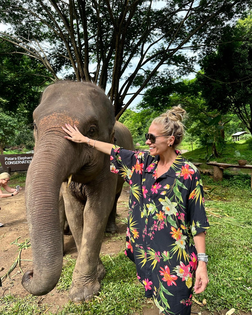 Adriane Galisteu visita santuário de elefantes com o marido, Alexandre Iódice — Foto: Reprodução Instagram