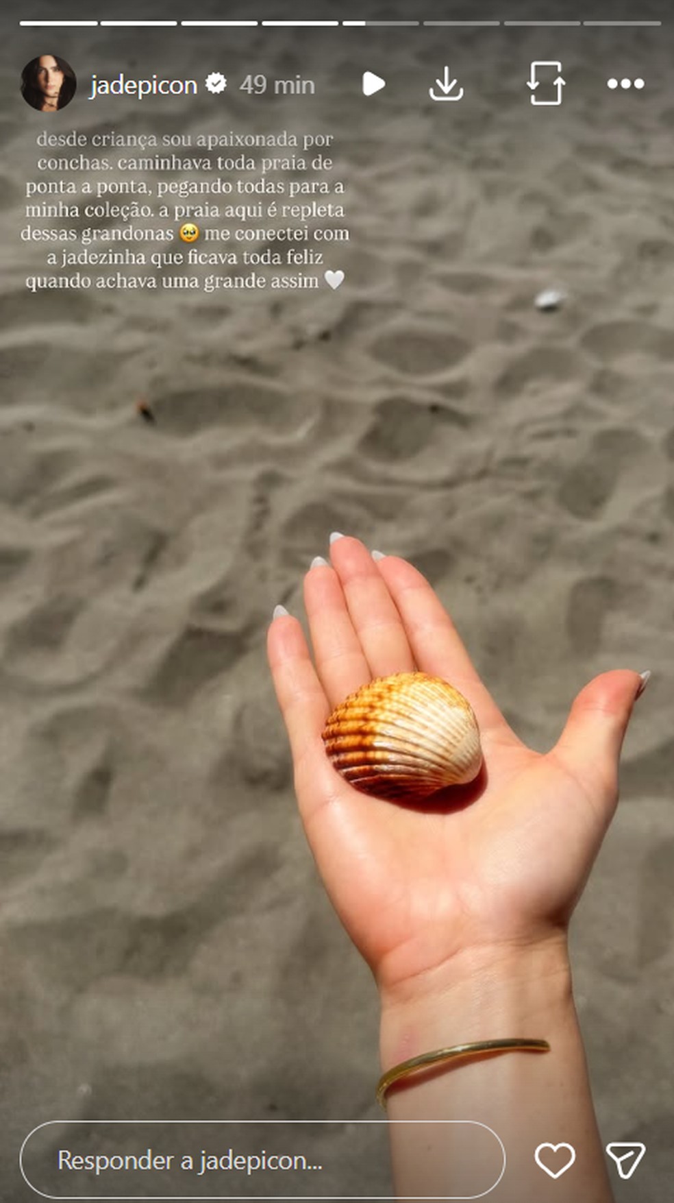 Story de Jade Picon — Foto: Reprodução/Instagram