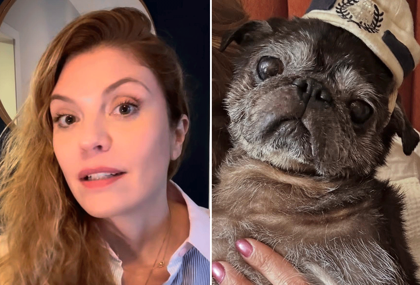 Ana Carolina Raimundi se emociona ao falar sobre o luto pet: 