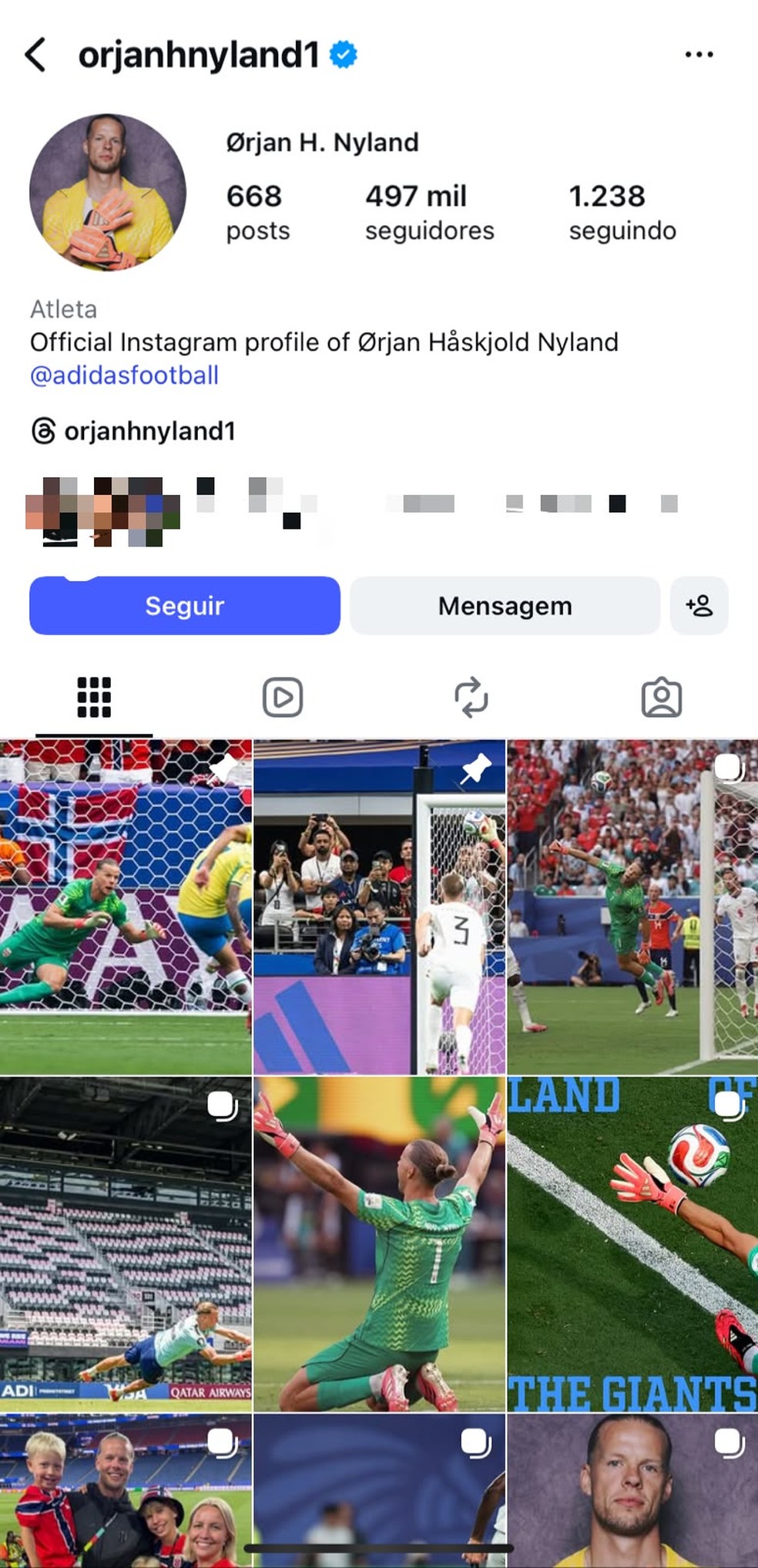 Perfil oficial de Nyland — Foto: Reprodução | Instagram