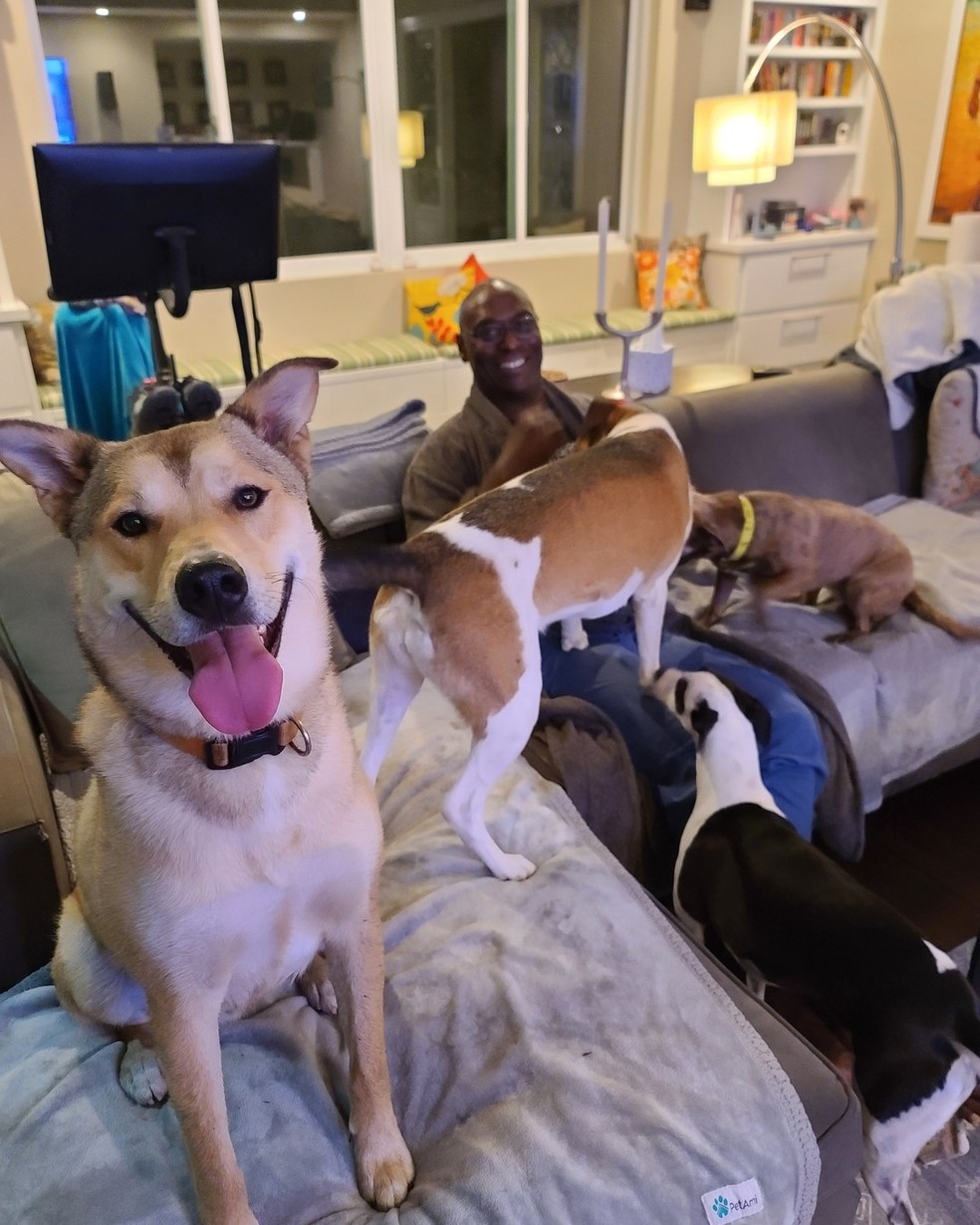 Última foto postada por Lance Reddick foi em casa com seus cachorros — Foto: Reprodução/Instagram