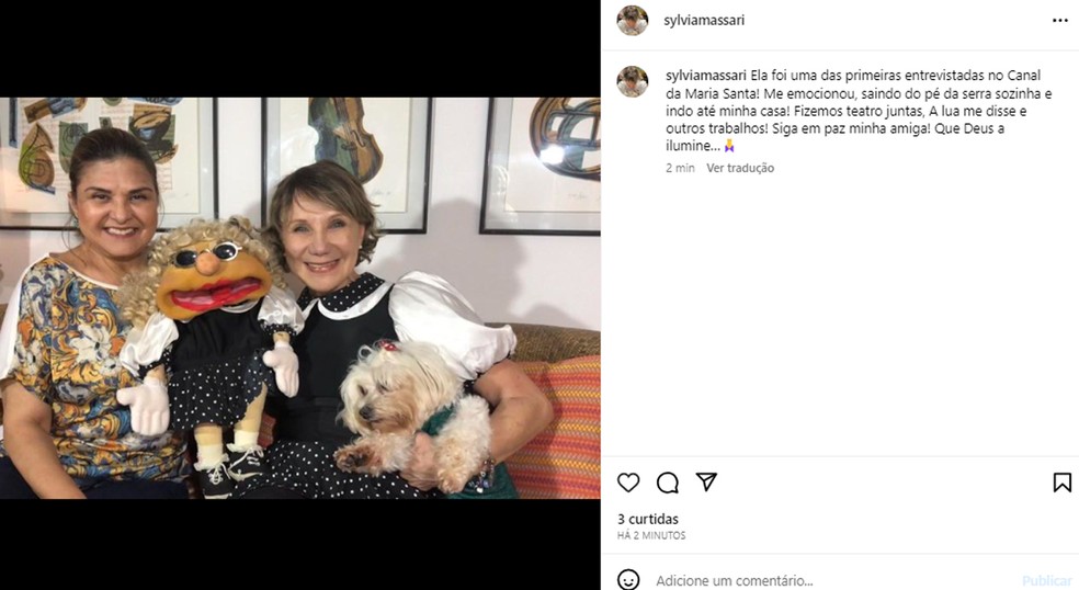 Sylvia Massari lamenta morte de Elizangela — Foto: Instagram