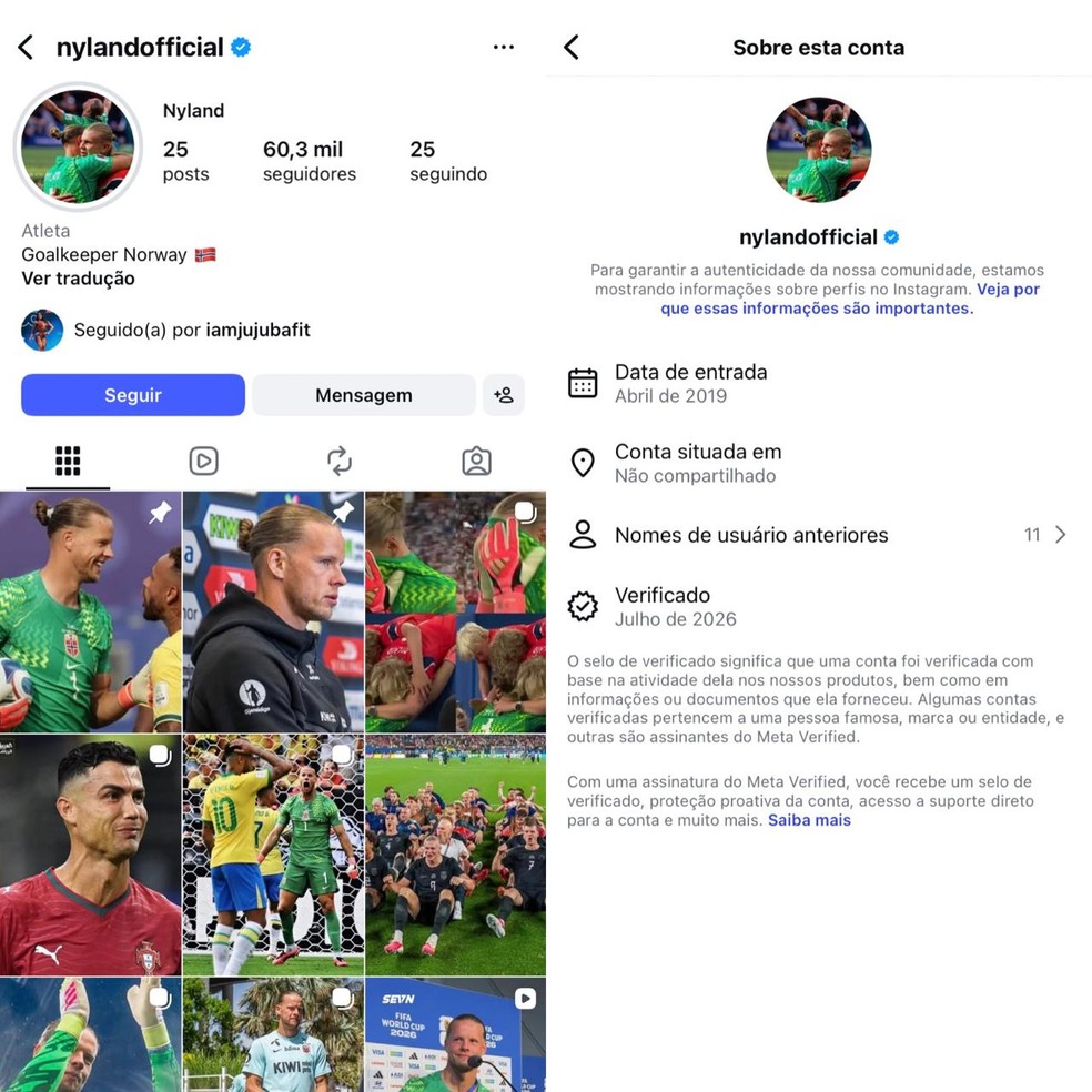Perfil fake atribuído a Nyland — Foto: Reprodução/Instagram