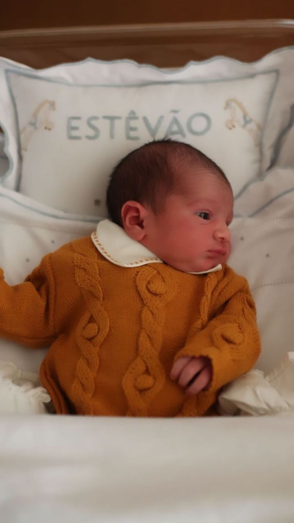 Estêvão, filho de Letícia e Juliano Cazarré — Foto: Reprodução/Instagram