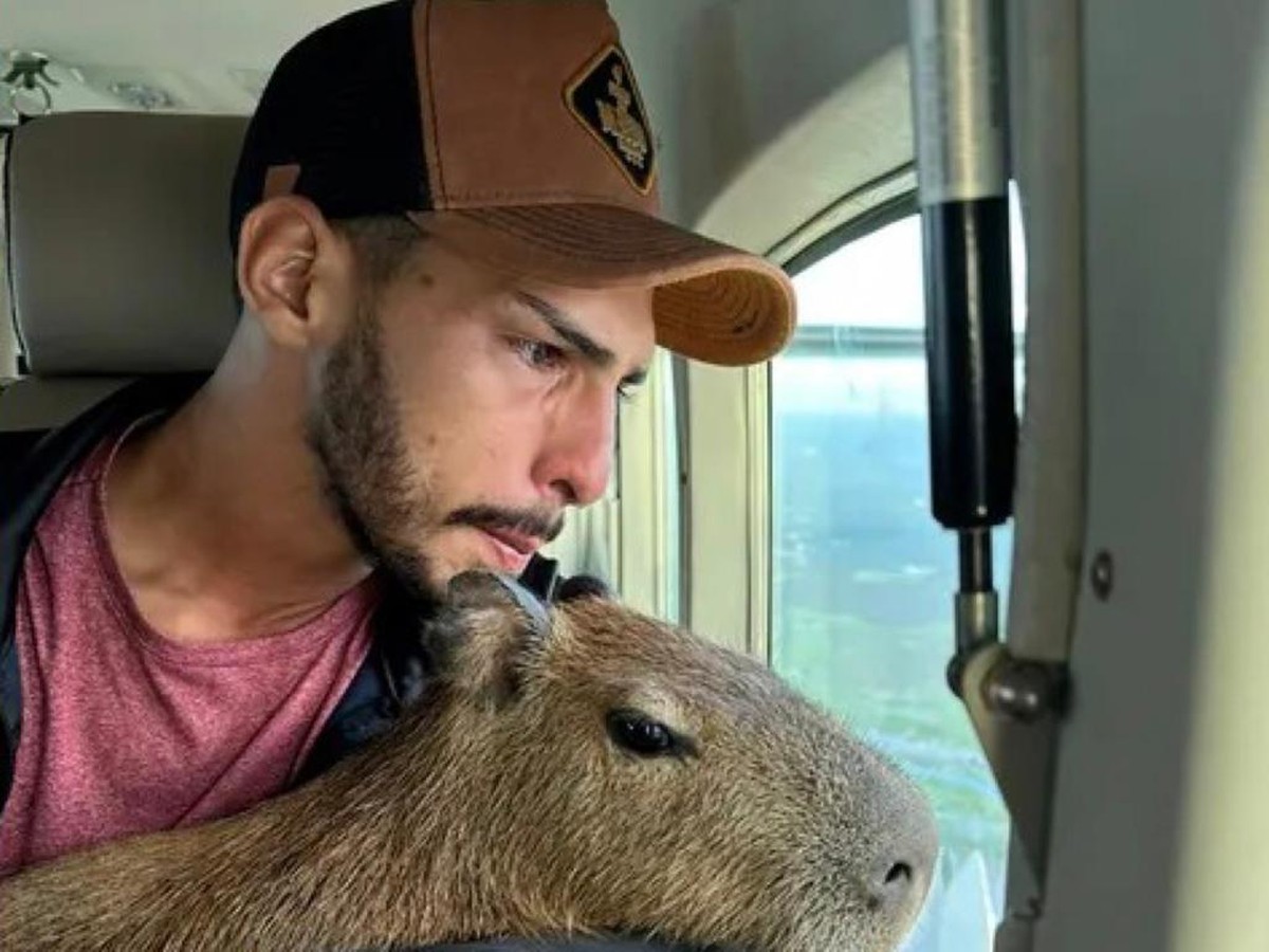 A verdade não contada: Capivara Filó, tiktoker Agenor e situação