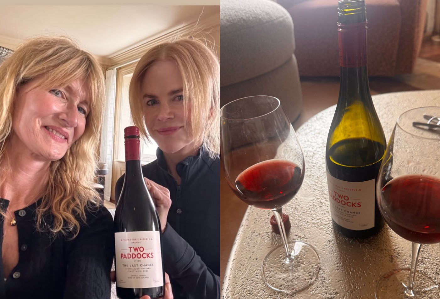 Nicole Kidman e Laura Dern brindam em memória de Sam Neill: 'Nosso amado amigo'