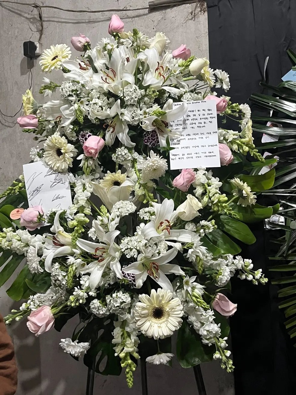 Stray Kids presta homenagem a Delfina Antonella González Plata — Foto: Reprodução/Instagram