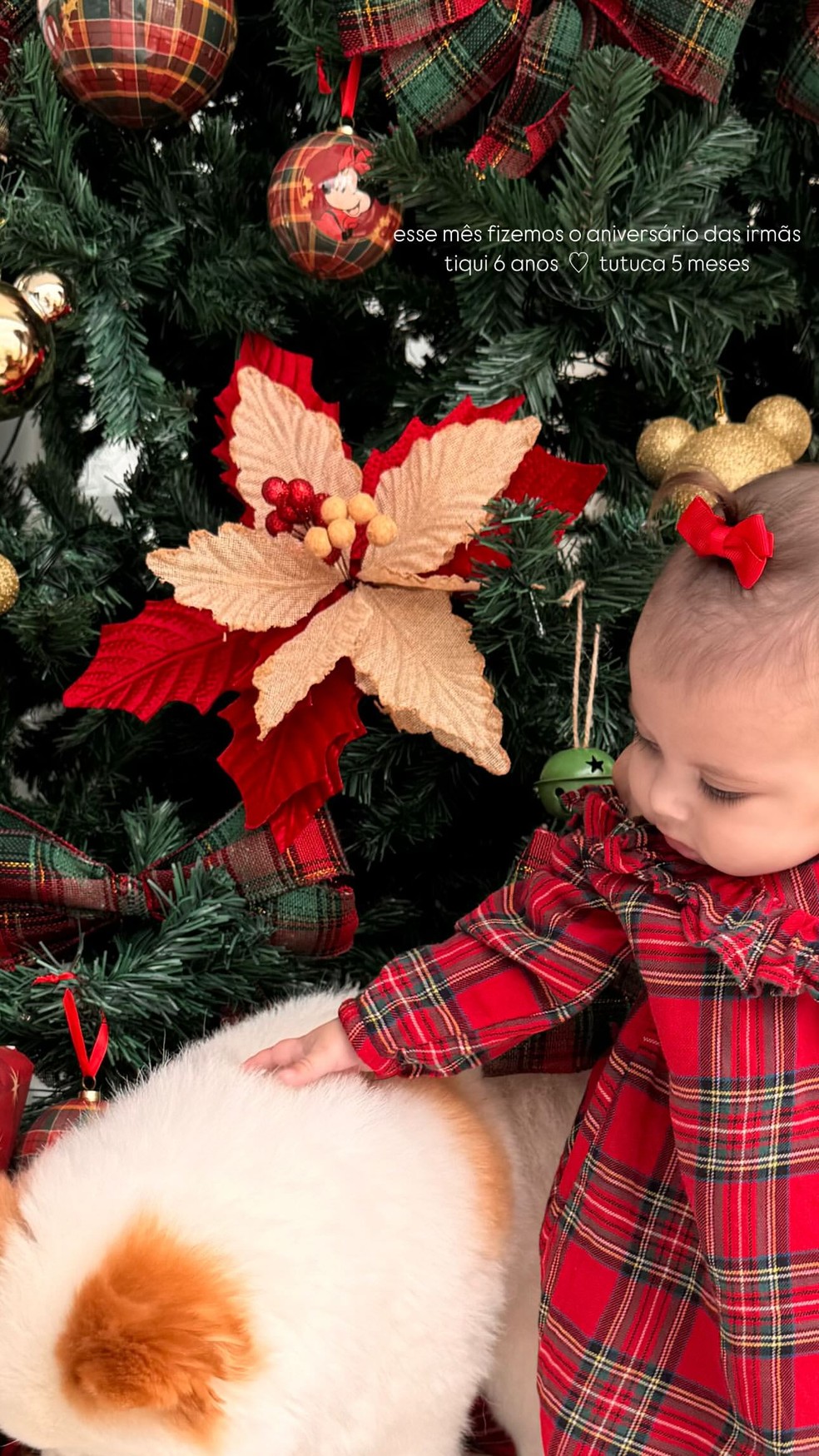 Amanda Kimberlly celebra 5 meses de Helena, sua filha com Neymar, com festa  natalina