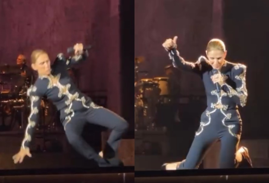 Céline Dion leva tombo durante show em Paris