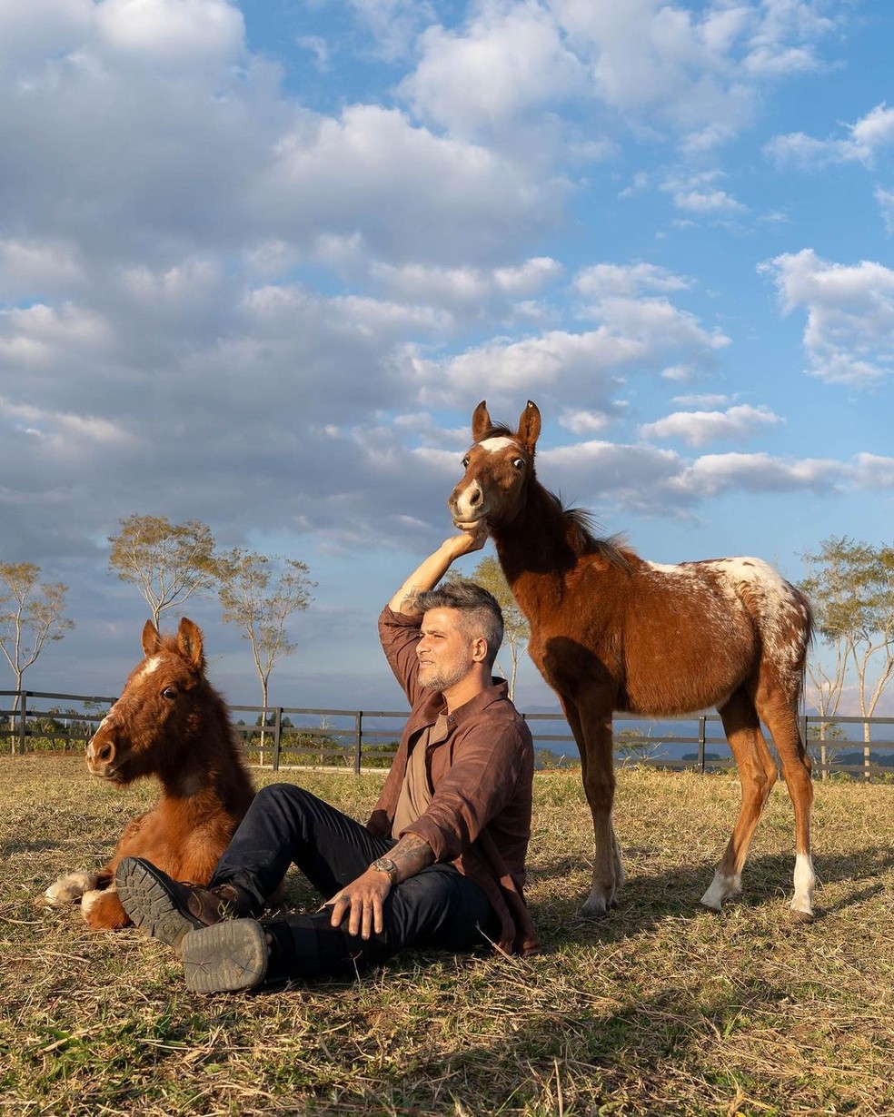 Bruno Gagliasso posa para fotos com novos cavalos resgatados: 'Dia de alegria e cheio de amor' — Foto: Instagram