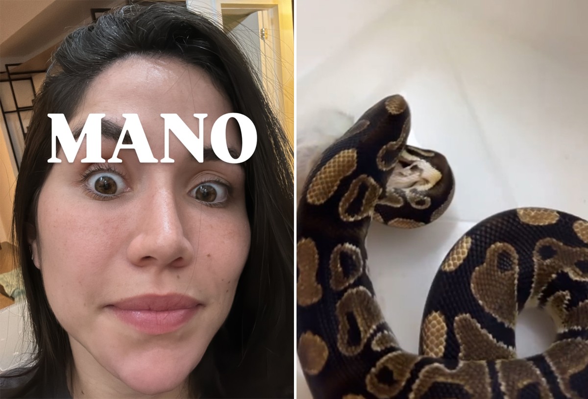 Maria Venture é picada por sua cobra: 'Cinco anos esperando esse momento'; assista - Portais
