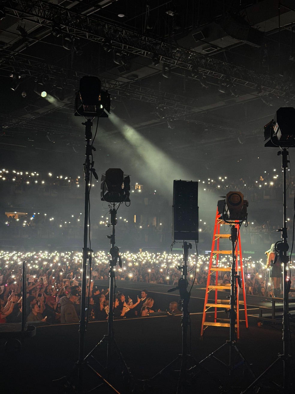 Demi Lovato abre álbum de fotos no Brasil — Foto: Reprodução/Instagram
