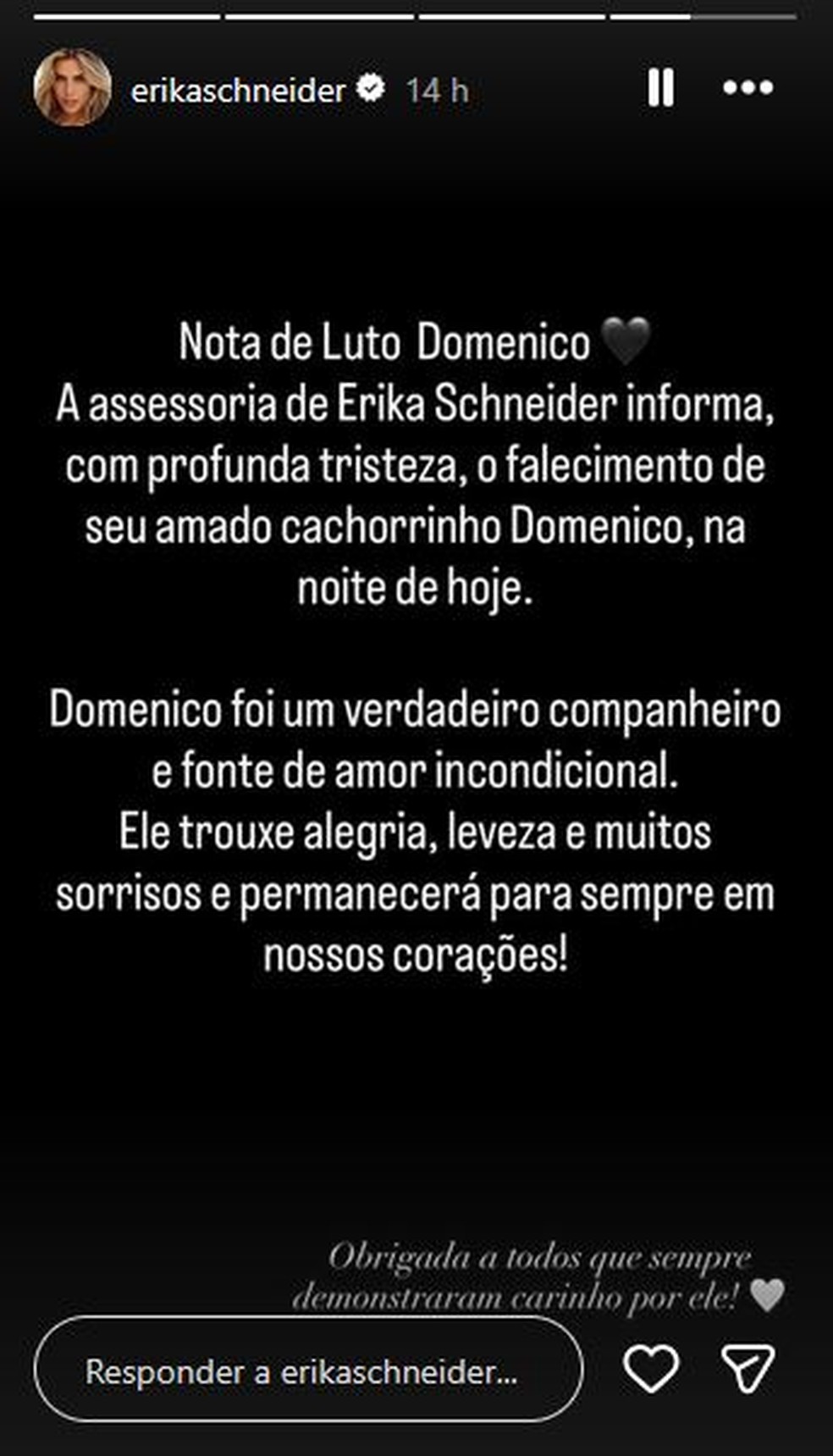 Erika Schneider lamenta morte do pet — Foto: Reprodução/Instagram