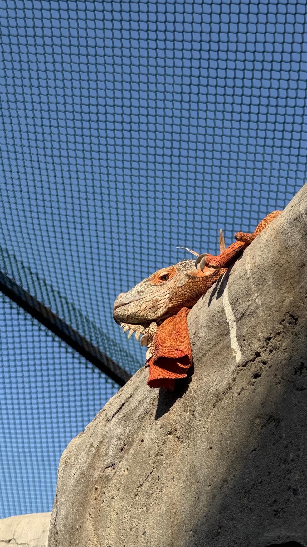 Alexander Lima, filho de Ronaldo, mostra fotos curtindo Dubai com o pai e a madrasta, Celina Locks — Foto: Reprodução/Instagram