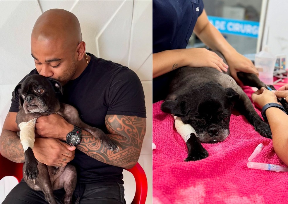 Cezar Black e Rocco &mdash; Foto: Reprodu&ccedil;&atilde;o | Instagram