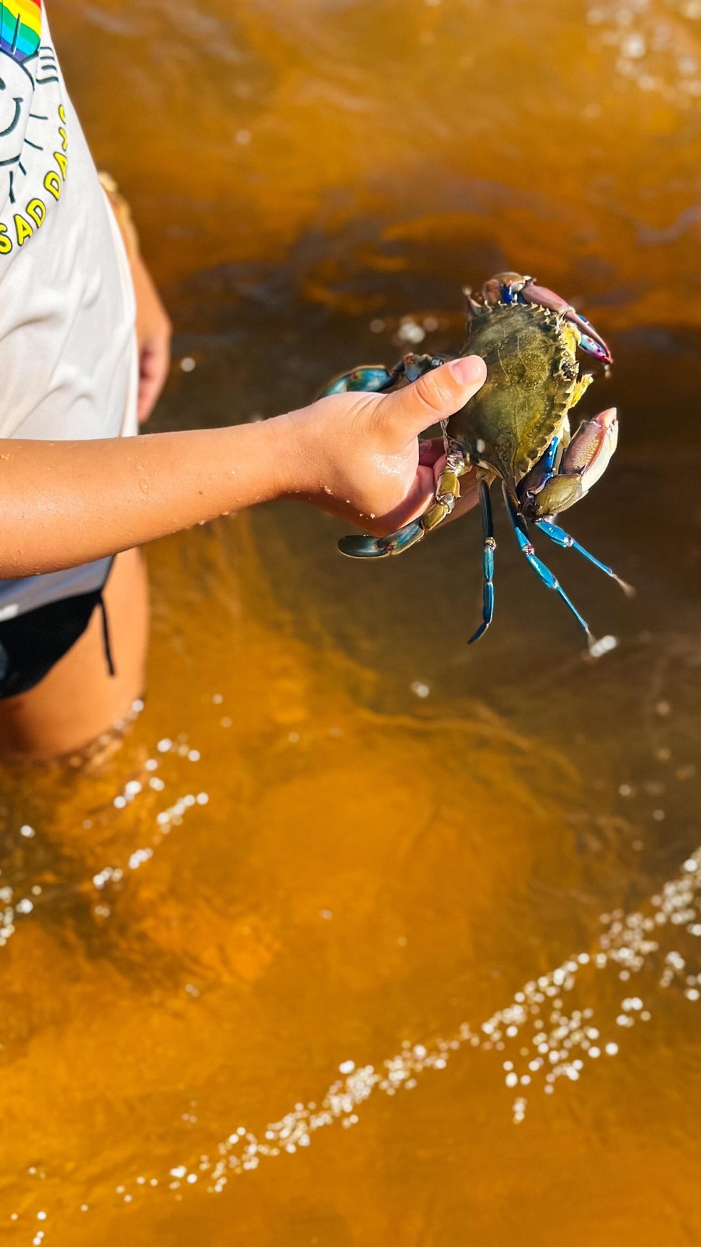 Isis Valverde compartilhou cliques em Trancoso — Foto: Reprodução/Instagram
