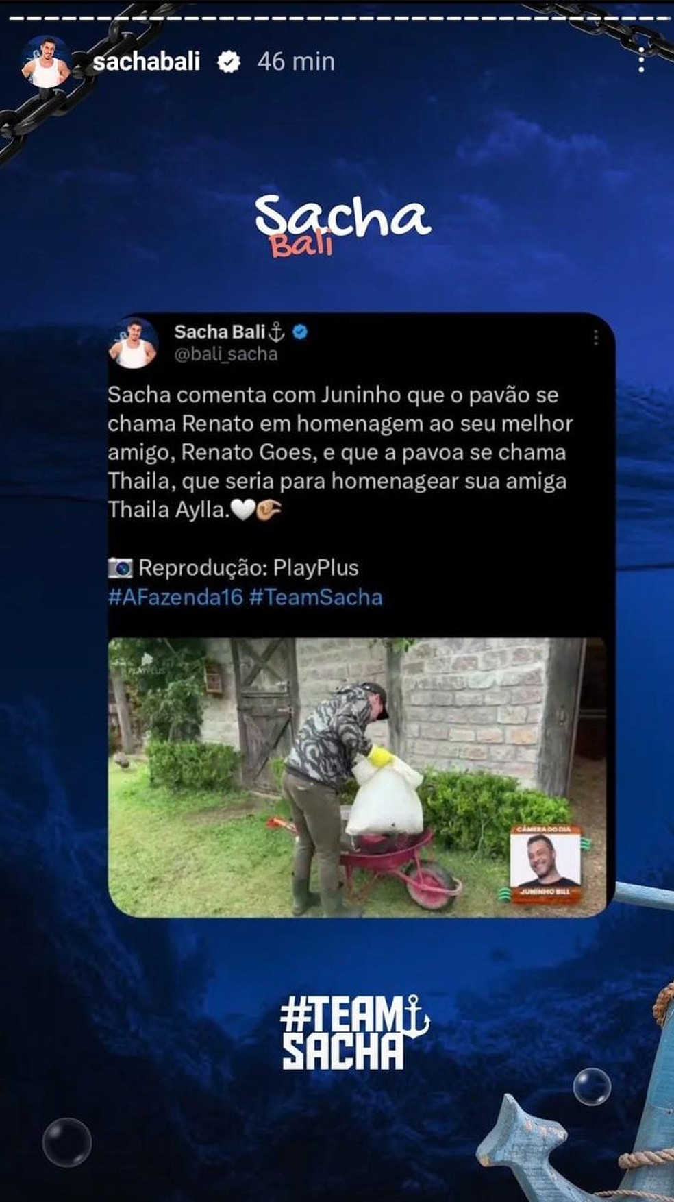 Thaila Ayala e Renato Góes inspiram Sacha Bali ao dar nome a animais de A  Fazenda; saiba bichos homenageados