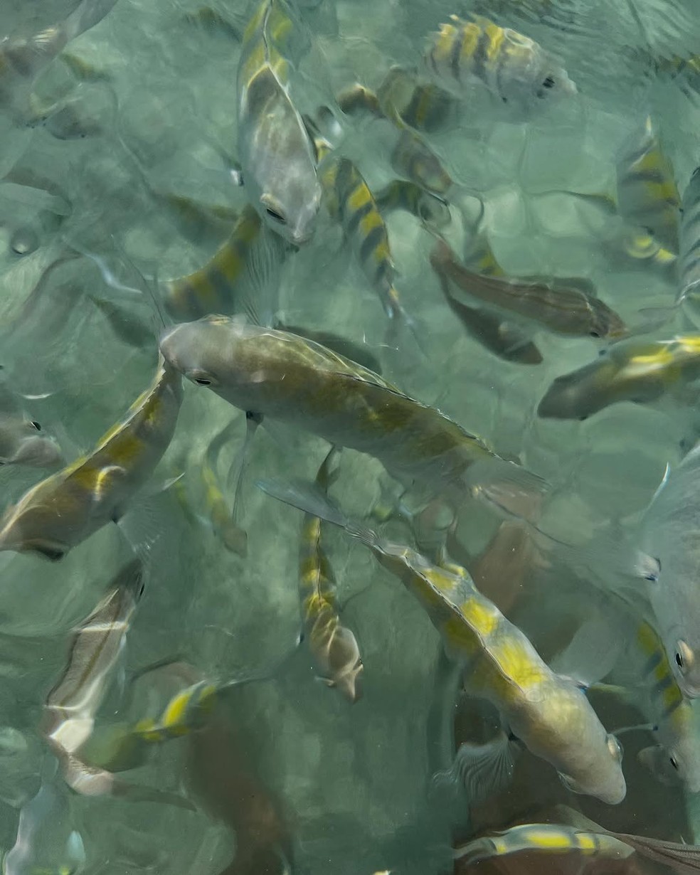 Dani Calabresa posta foto de viagem &mdash; Foto: Reprodu&ccedil;&atilde;o/Instagram