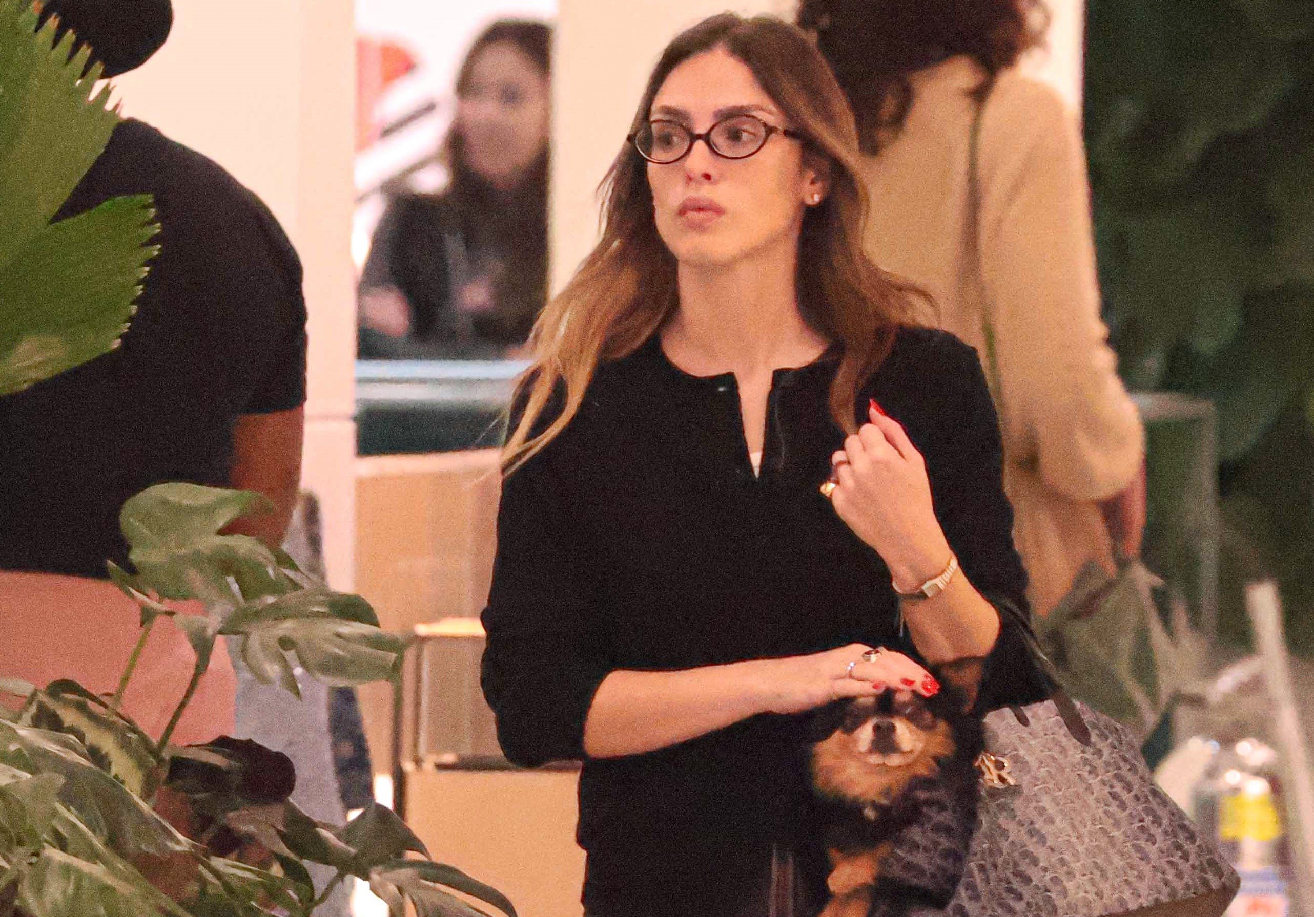 Cover image for Isabelle Drummond leva cãozinho na bolsa ao passear em shopping carioca; fotos