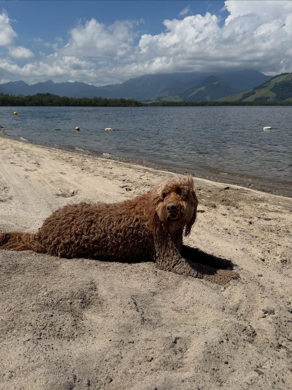 Sasha Meneghel reúne cliques de biquíni, família e romance em novo álbum nas redes — Foto: Reprodução/ Instagram