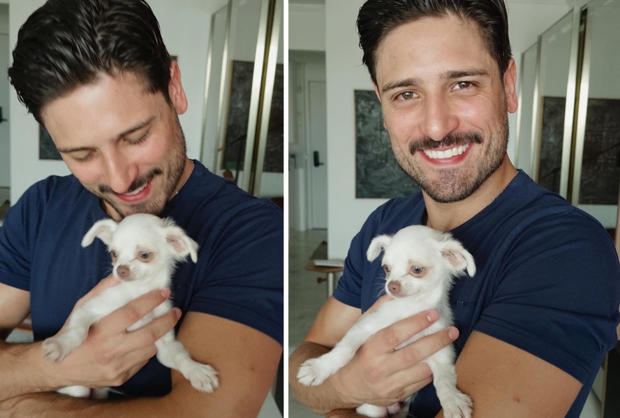 Com namorada no BBB 25, Daniel Rocha apresenta cãozinho: 'Virou meu ...