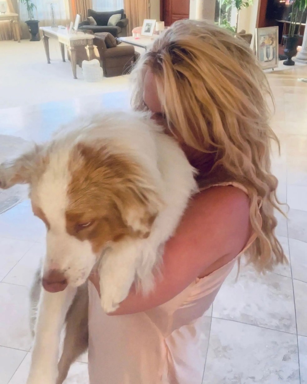 Britney Spears e Sam Asghari chegaram a acordo sobre guarda dos cachorros após divórcio — Foto: Reprodução / Instagram