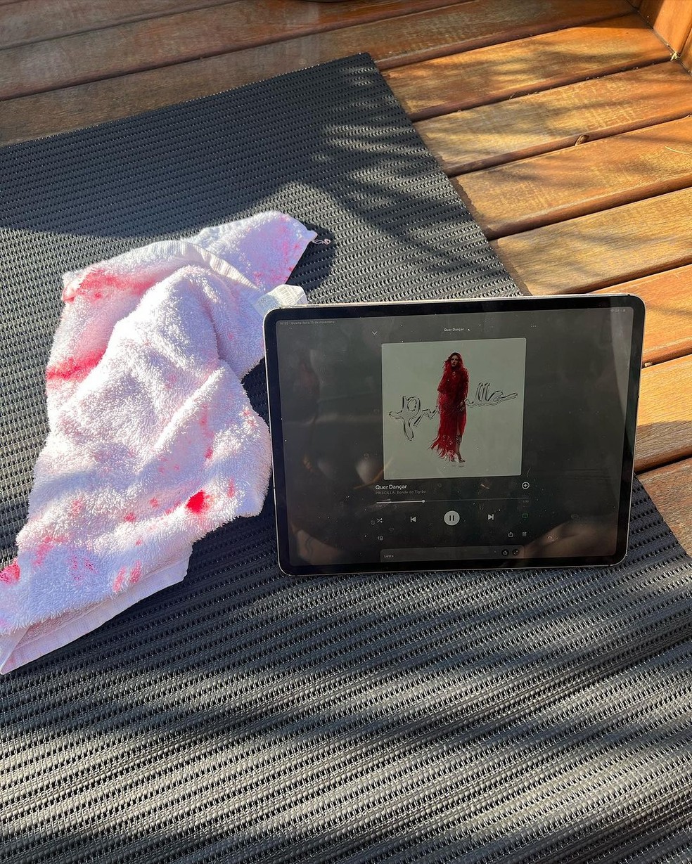 Priscilla mostra toalha suja após secar o cabelo — Foto: Reprodução/Instagram