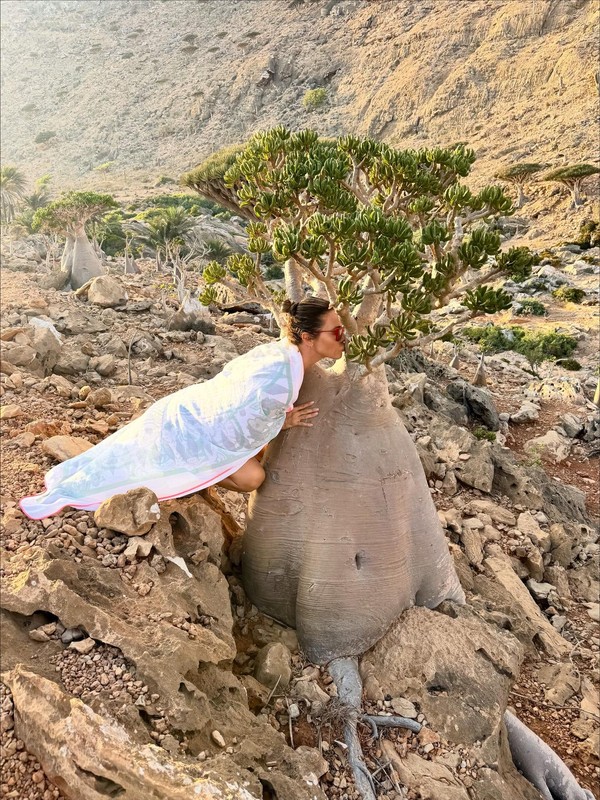 Guilhermina Guinle se encanta por árvores típicas da Ilha de Socotra ...