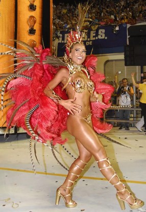 2008: Um imprevisto marcou o desfile da apresentadora pela Gaviões da Fiel. Neste ano, o bustiê da apresentadora despencou no meio do desfile, mas ela não desanimou durante a passagem pela avenida.