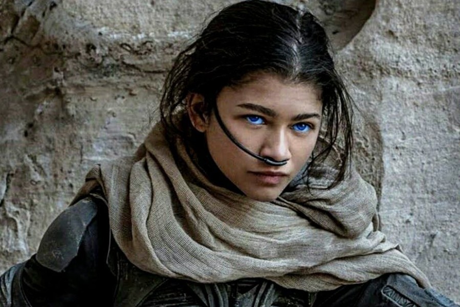 Saiba tudo sobre: Zendaya