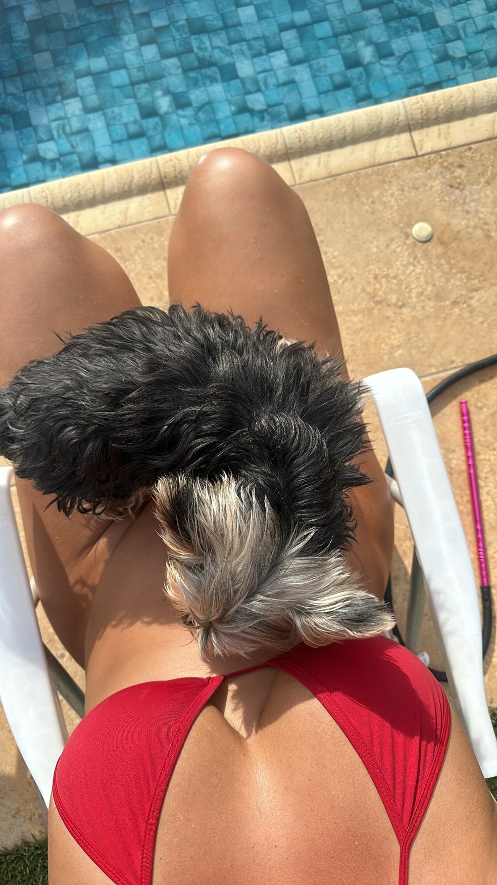 Geisy Arruda — Foto: Reprodução/Instagram