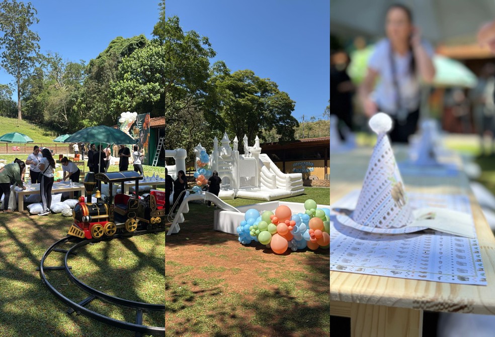 Festa de Ravi — Foto: Divulgação/Simples Assim