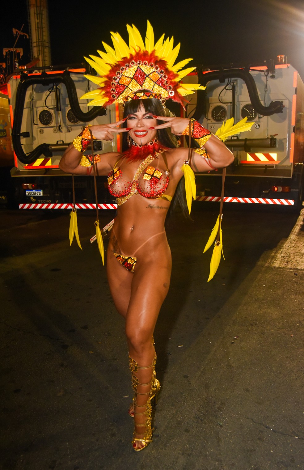 Rosana Ferreira no desfile da Acadêmicos do Tucuruvi — Foto: Edu Araujo/Agnews