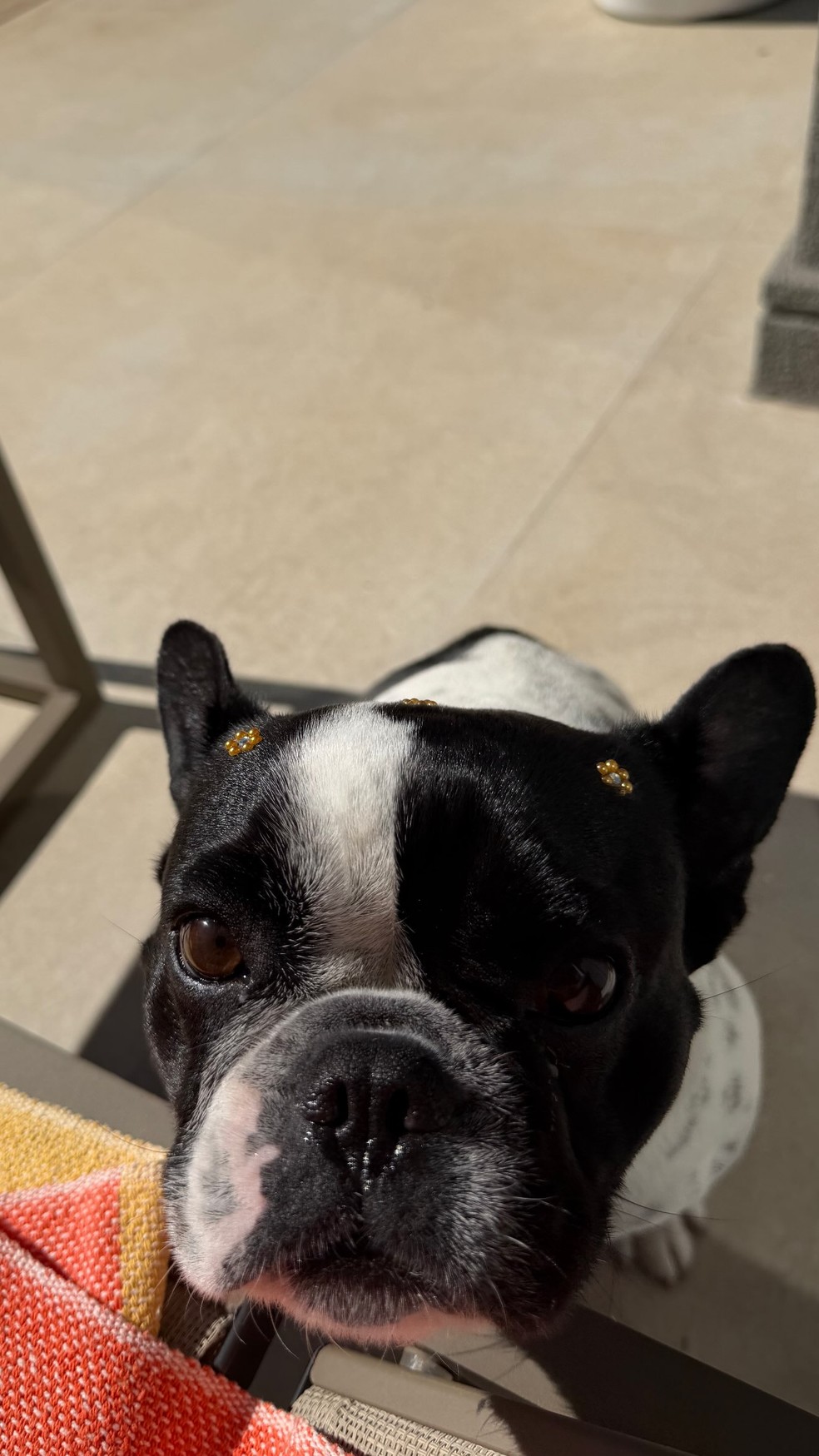 Maisa — Foto: Reprodução/ Instagram