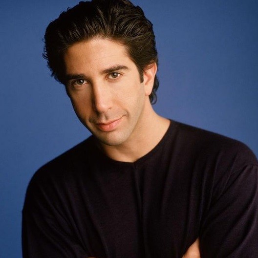 Saiba tudo sobre: David Schwimmer
