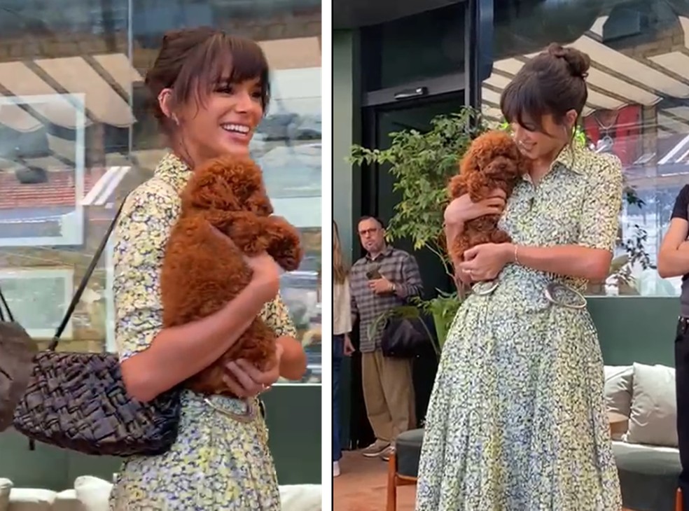 Cachorrinha de Bruna Marquezine conquista família de João Guilherme ...
