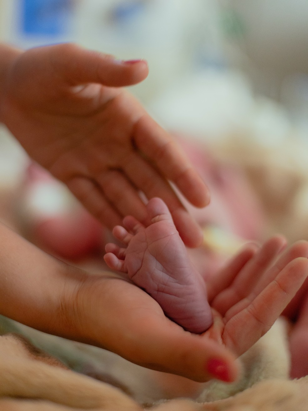 Nasce Isabela, filha de Mari Fernandez e Júlia Ribeiro — Foto: Reprodução/Instagram