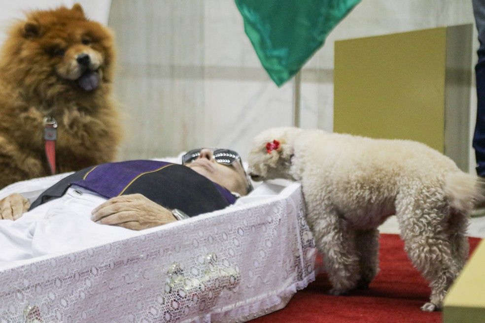 Com caixão no chão, viúva e cachorros de Nahim se despedem do cantor — Foto: Van Campos/AgNews
