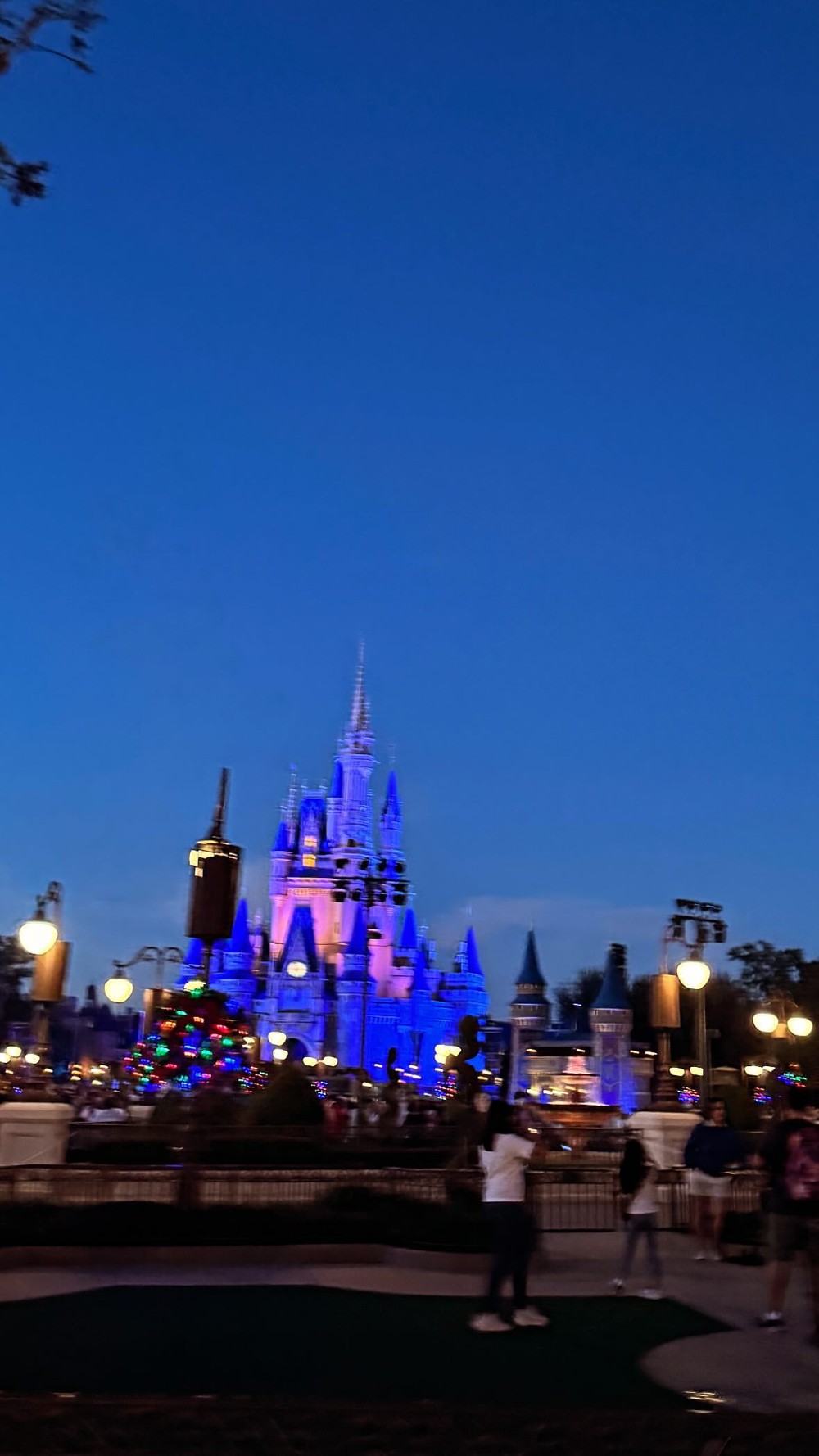 Isis Valverde e Buaiz curtem Disney com os filhos; Wanessa e Zilu vão a ...
