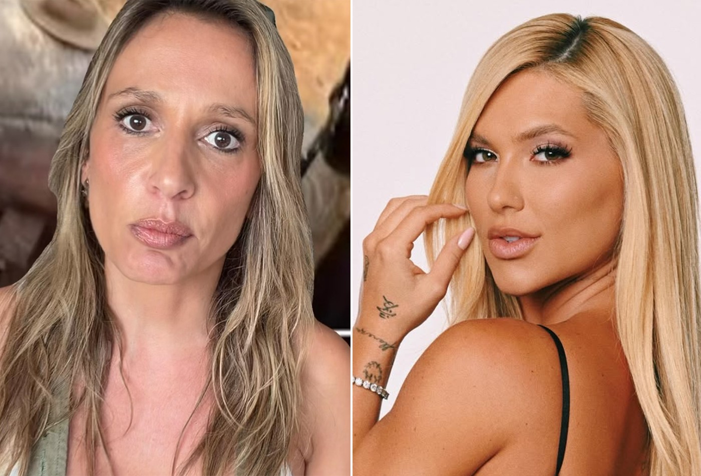 Virginia arrecada R$ 50 mil em live e Luisa Mell reage: 'Preferem uma rica em vez de animais que sofrem!'