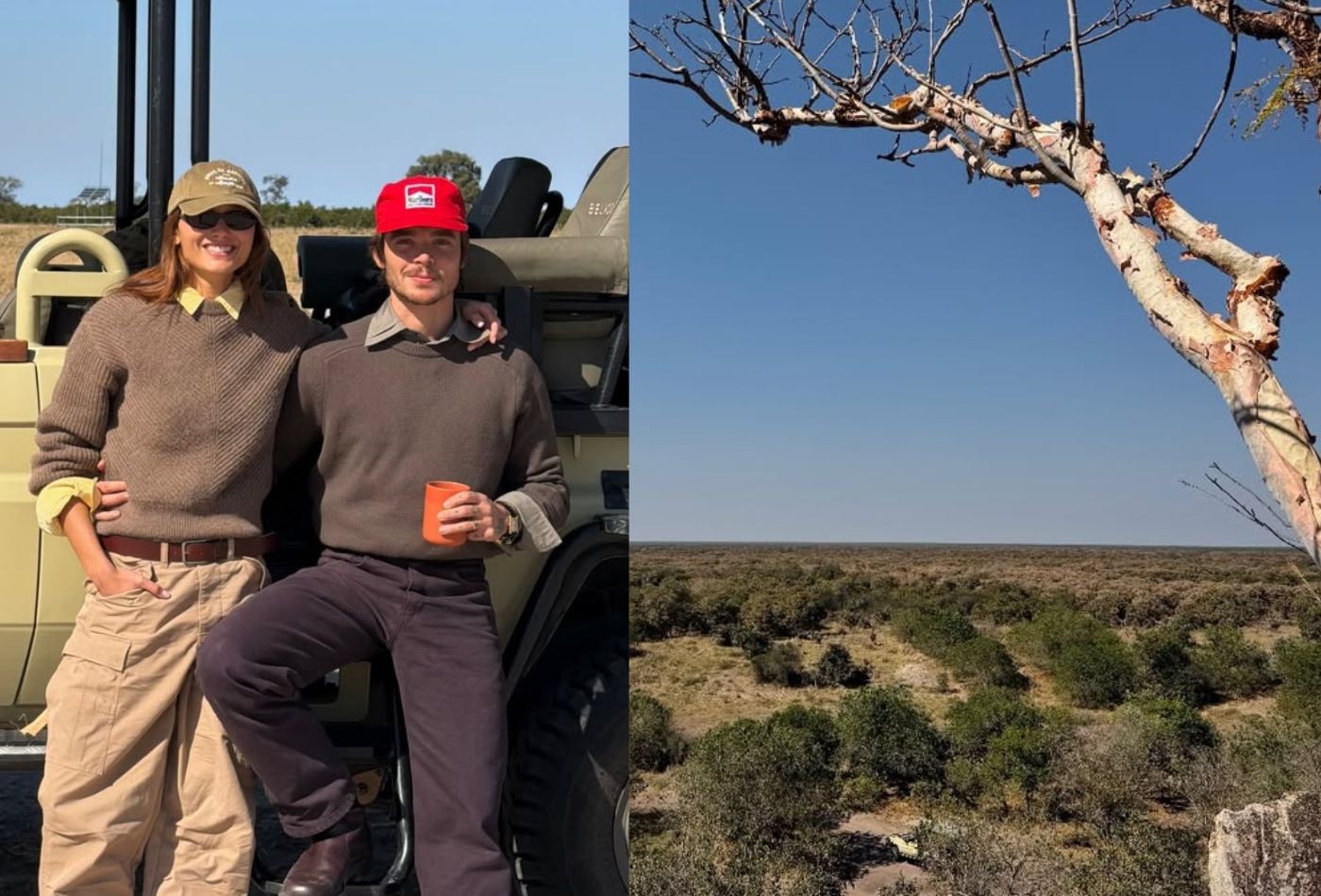 João Lucas e Sasha Meneghel curtem dia de safári na África; fotos e vídeos
