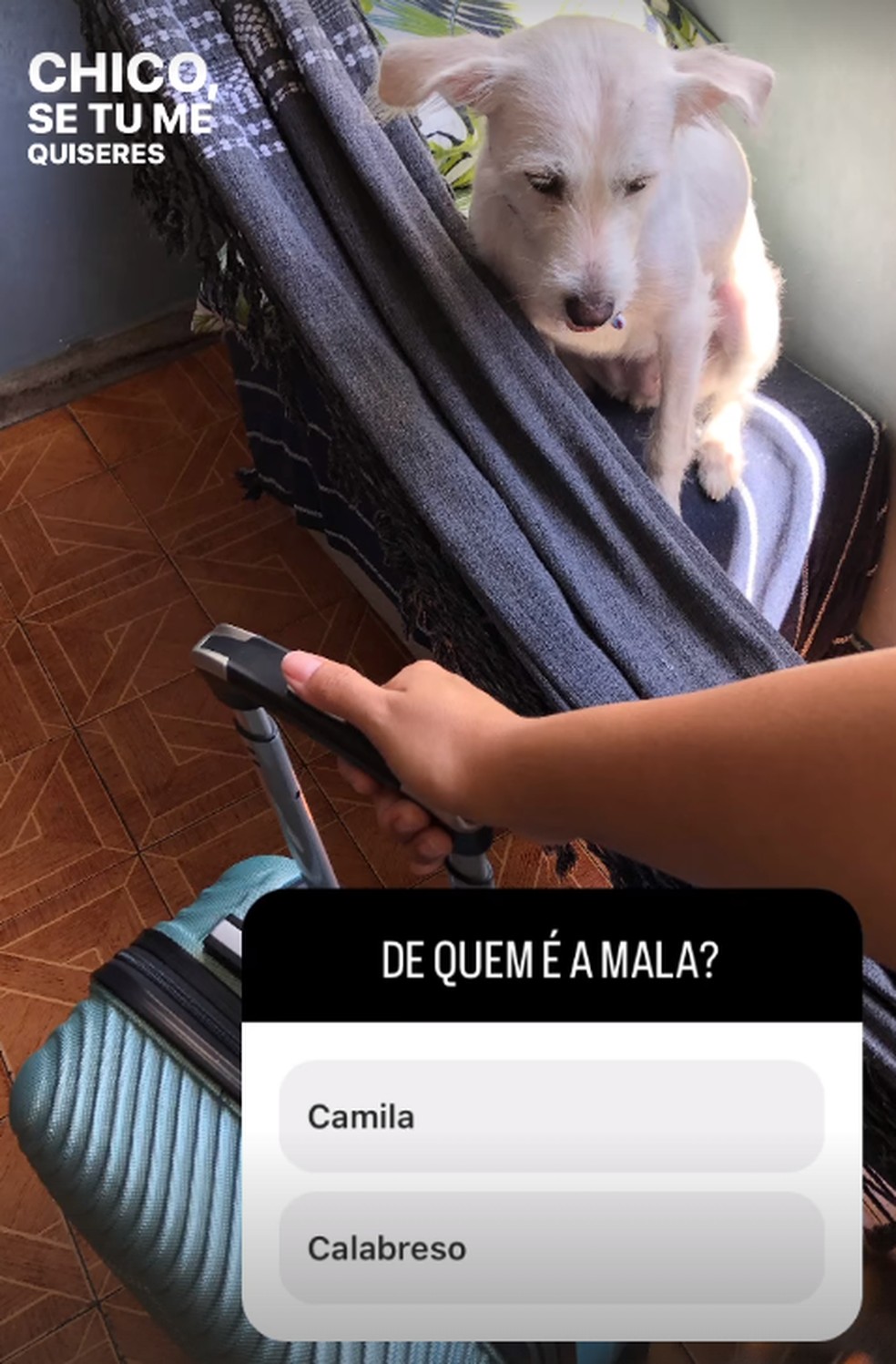 Esposa de Lucas Buda faz as malas — Foto: Reprodução/Instagram